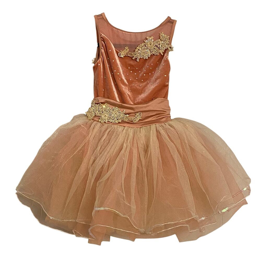 Weissman House At Pooh Corner 14921 Petal LC 14 Ballet Tutu Dance Costume Velvet